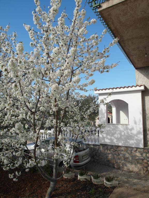 שיבניק Apartment Antonio מראה חיצוני תמונה